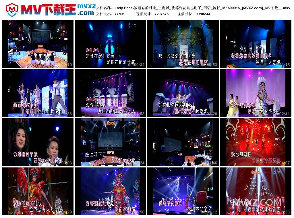 Lady Bees-被遗忘的时光_上海滩_我等到花儿也谢了_国语_流行_ME600016